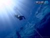 An Insightful Weekend Prelude to Free Diving