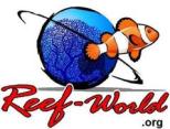 Reef World Foundation